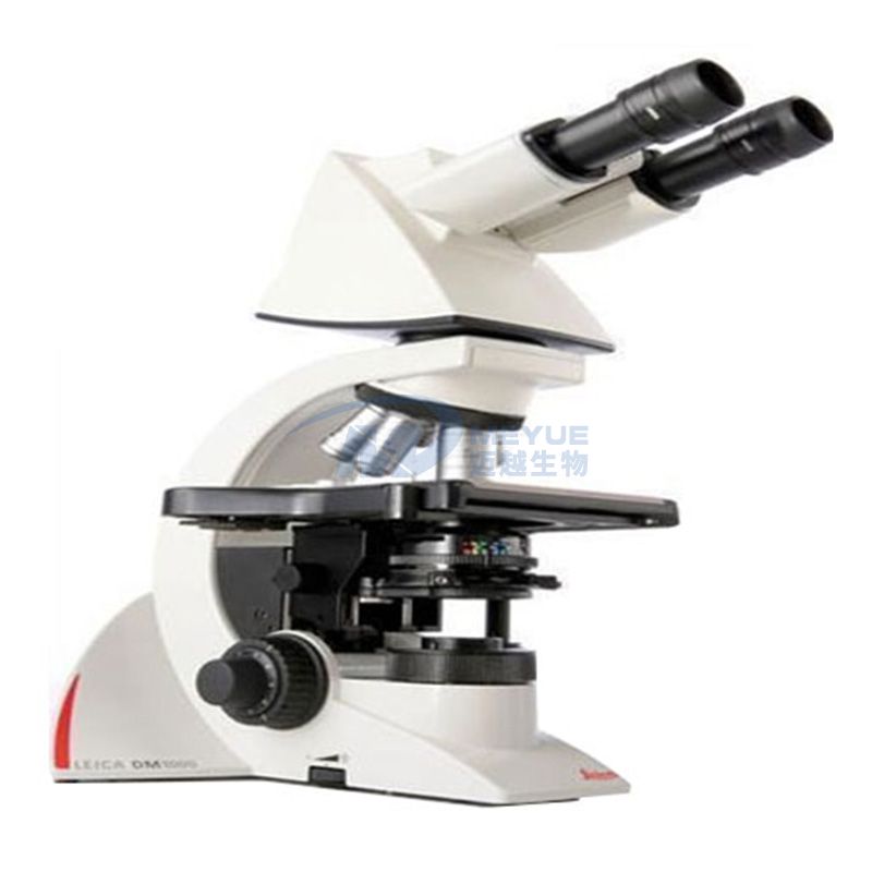 徕卡荧光显微镜DM1000-1