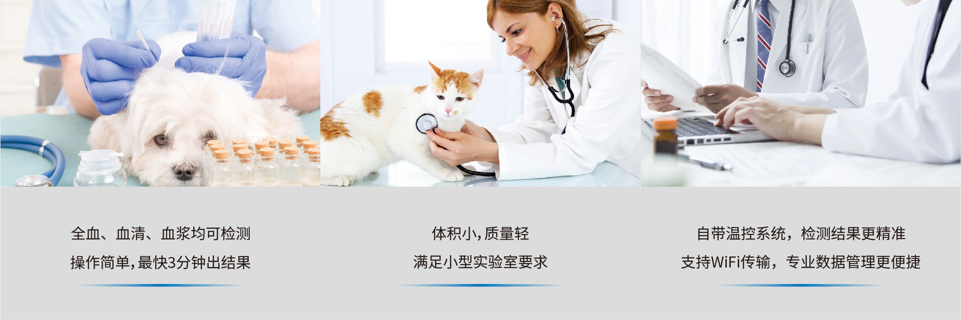 动物荧光检测仪YG-101(图2)
