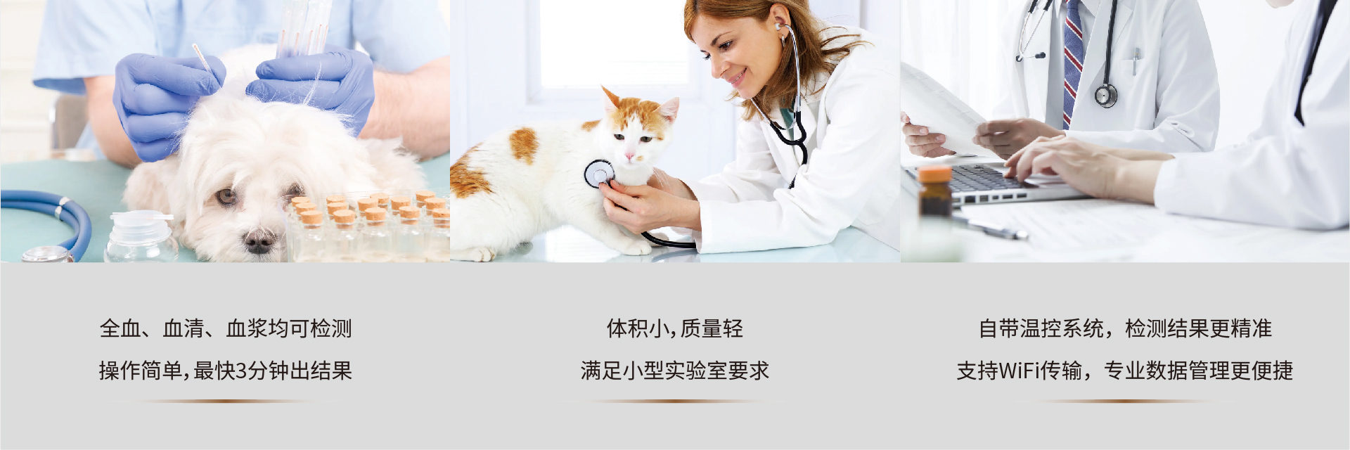 动物荧光检测仪YG-102(图2)